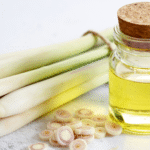Serai: Rempah Dapur yang Diam-diam Bisa Bikin Langsing dan Glowing lemon (16)