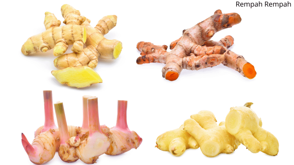 Mitos dan Fakta: Manfaat Kunyit, Jahe, dan Kencur untuk Fat Loss dan Kulit Glowing