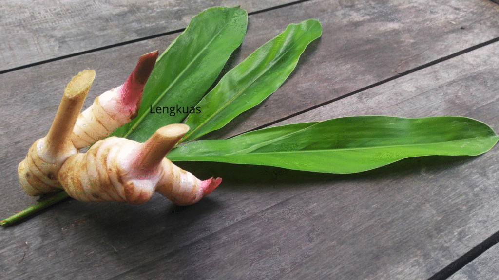 Quiz Seru: Lengkuas Cuma Bumbu Dapur atau Senjata Rahasia Fat Loss & Glow Up?