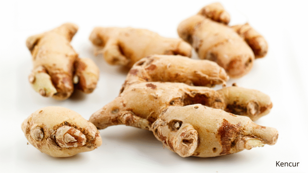 Kencur: Bukan Cuma Buat Jamu Emak, Tapi Juga Rahasia Glow Up & Fat Loss