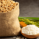 Skincare Berbasis Rice Peptide: Inovasi Baru dari Bahan Alami Nusantara Hitam Putih Merah Muda Moderen Y2k Streetwear Logo (31)
