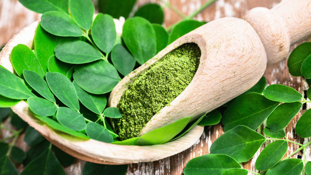 Skincare dengan Ekstrak Daun Kelor: Bahan Lokal yang Mulai Mendunia